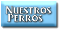 Le Presentamos Nuestros Yorkshires.. Con&oacute;zcalos..!